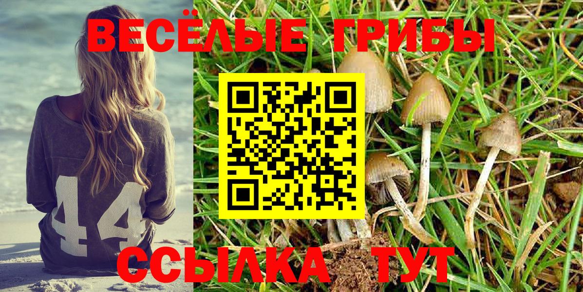 где продают   Вход с VPN  Кондопога  Псилоцибиновые грибы MAGIC MUSHROOMS 